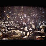 V LETU KAČE, 2 (2013)